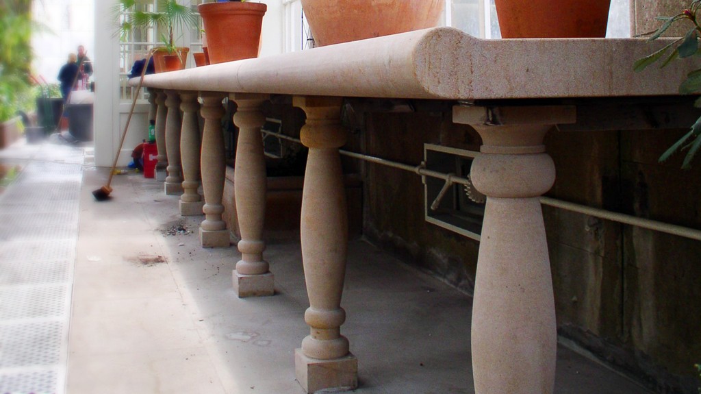 The Temperate Palmhouse