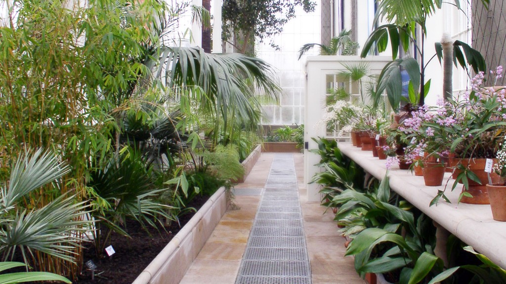 The Temperate Palmhouse