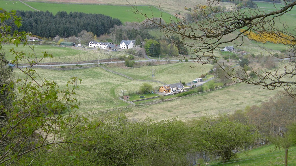 Thornylee