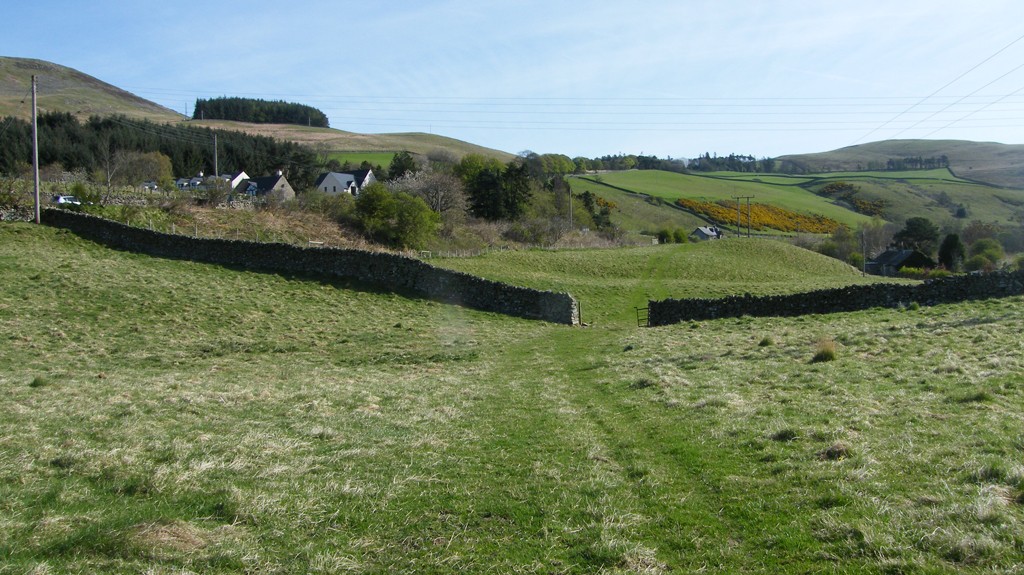 Thornylee