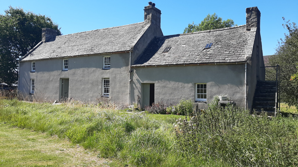 Vernacular
